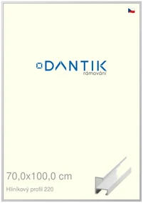 DANTIK rám na obraz 70x100 | ALU Bílá matná (Plexi Čiré)