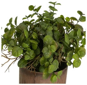 Umelé rastliny v súprave 2 ks (výška 22 cm) – Casa Selección