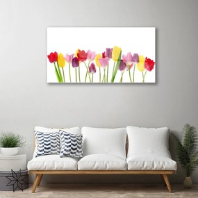 Obraz na skle Tulipány kvety rastlina 140x70 cm