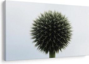 Obraz kvetinové gule (90x60 cm)