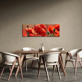 Obraz vlčích makov (s hodinami) (90x30 cm)