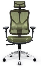 Ergonomické kreslo Diablo V-Basic, čierno-zelené