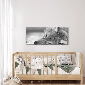 Obraz - Vlk, čiernobiela (120x50 cm)