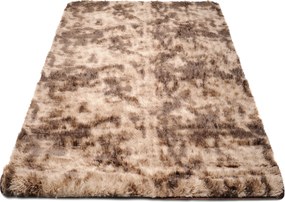 TA Koberec MR-580 Hnedá SILK DYED Rozmer: 120x170 cm