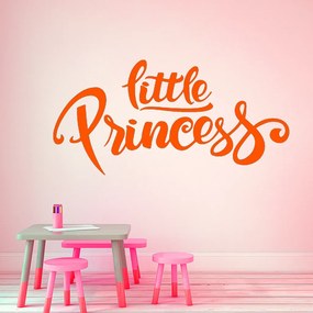 Veselá Stena Samolepka Nápis Little princess Farba: oranžová, Veľkosť: 60 x 32 cm