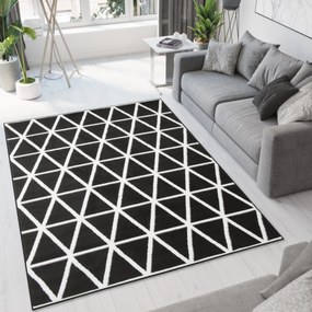PROXIMA.store - Dizajnový koberec HUGO ROZMERY: 220x300
