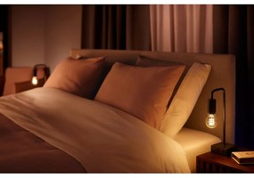 Filamentová inteligentná žiarovka E27, 7 W White ambiance – Philips Hue