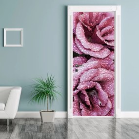 Fototapeta na dvere - Rosa na ružiach (95x205cm)