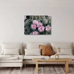 Sklenený obraz kvet kaktusu (70x50 cm)