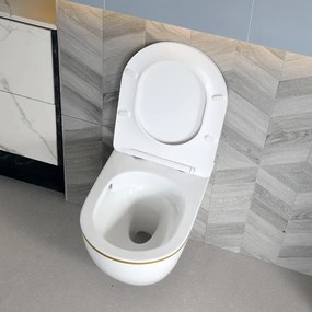 BPS-koupelny Podomietkový modul Geberit DuoFix s WC misou MIZU-WH-GL-TR-03 + ovládacie tlačidlo Delta 20 biela