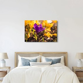 Obraz fialovej kvetiny (90x60 cm)