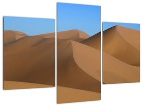 Obraz piesočných dún
