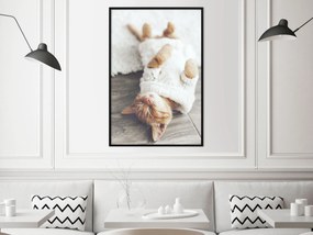 Artgeist Plagát - Lazy Cat [Poster] Veľkosť: 20x30, Verzia: Zlatý rám s passe-partout