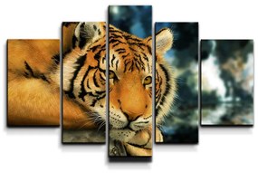 Sablio Obraz - 5-dílný Tiger - 125x90 cm