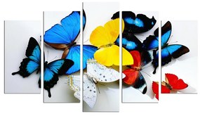Viacdielny obraz Motýle 110x60 cm
