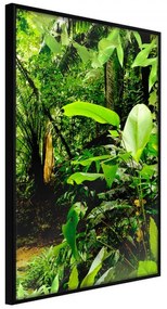 Plagát v ráme - In the Rainforest