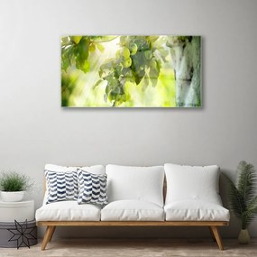 Skleneny obraz Jablká vetva strom príroda 100x50 cm