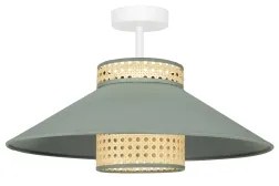 Duolla - Prisadený luster RIO RATTAN 1xE27/15W/230V pr. 45 cm zelená/ratan