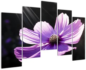Obraz fialového kvetu