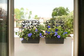 BAMA Hrantík Rondine Balcony sada 2ks, antracit