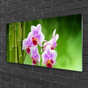 Skleneny obraz Bambus orchidea kvety zen 125x50 cm