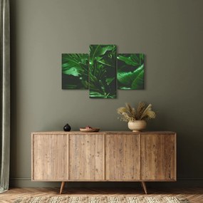 Obraz - Palmové listy (90x60 cm)