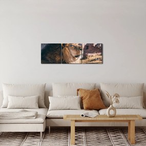 Obraz ležiaceho leva (s hodinami) (90x30 cm)