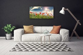 Obraz Canvas Lúka kvety slnko príroda 125x50 cm