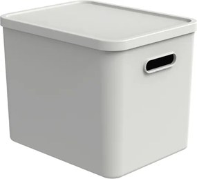 Rotho 2. akosť - Úložný box, rovný s vekom, 27l, matne biela ALBU LIGHT, 37x29x30