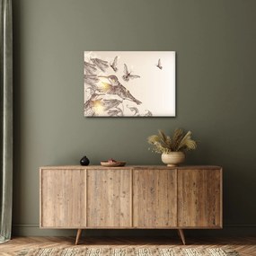 Obraz - Kolibríky (70x50 cm)