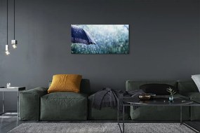 Obraz canvas Umbrella dažďovej kvapky 140x70 cm
