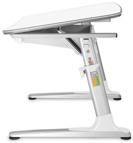 MAYER Detský rastúci stôl JUNIOR 32W1 18 dekor biely