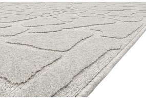 Svetlosivý vlnený koberec 200x300 cm Morphic Dunes – Agnella