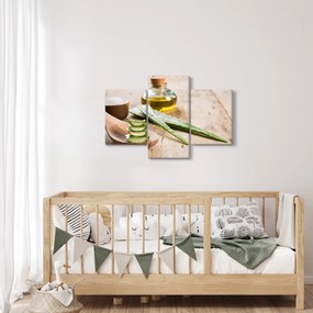 Obraz - Aloe vera (90x60 cm)