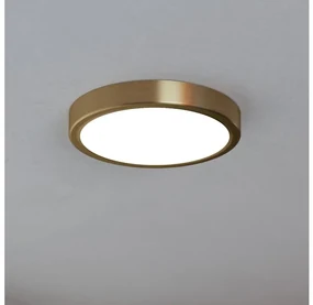 Eglo 900181 - LED Stropné svietidlo FUEVA LED/17W/230V pr. 21 cm EG900181