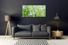 Obraz na skle Kvety tráva rastlina príroda 140x70 cm