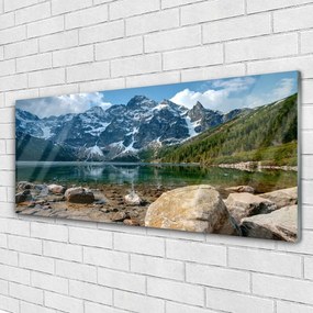 Obraz plexi Hory les jazero kamene 125x50 cm