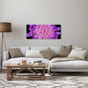 Detailný obraz kvetu (120x50 cm)