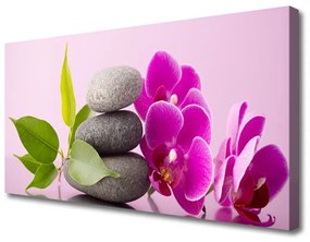 Obraz Canvas Orchidea vstavač kamene 125x50 cm