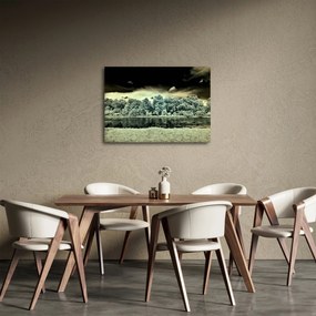Obraz vodnej plochy (70x50 cm)