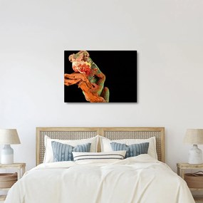 Obraz chameleóna na vetve (70x50 cm)