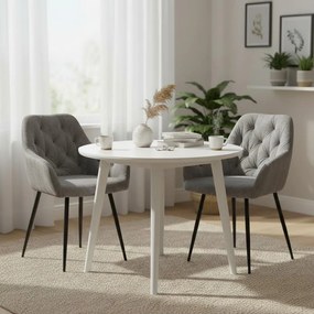 Set - 2 ks Jedálenská stolička AVENBERG LOREN, sivá