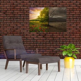 Obraz - Kolobeh života (90x60 cm)