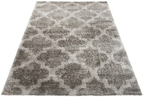 Shaggy koberec Versa Veľkosť: 120x170cm