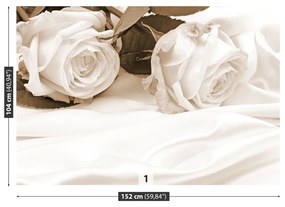 Fototapeta Vliesová Ruže sépia 416x254 cm