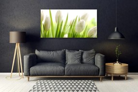 Obraz na akrylátovom skle Tulipány kvety 120x60 cm