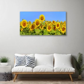 Obraz na plátne Slnečnica kvet rastlina 125x50 cm