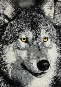 Koberec KOLIBRI 11395/190