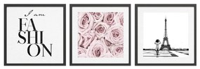 Obrazy v súprave 3 ks 30x40 cm Parisienne – Styler