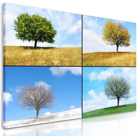 Obraz štyri ročné obdobia